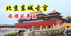 大鸡巴插骚妇视频中国北京-东城古宫旅游风景区